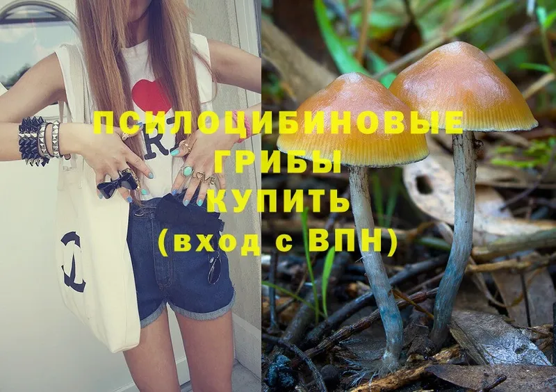 Галлюциногенные грибы Psilocybine cubensis  Тулун 